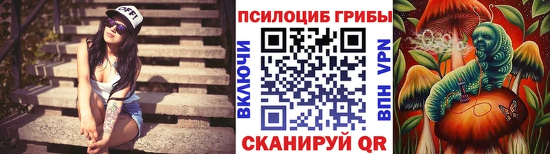 hydra маркетплейс  Шимановск  Галлюциногенные грибы ЛСД 